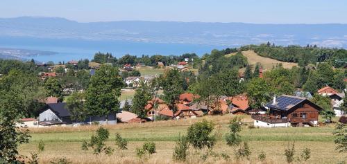 Chalet Nature, Thollon-les-Mémises (zdjęcie 6)