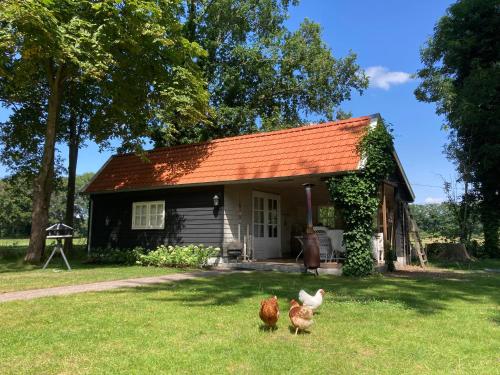 Bed and Breakfast Warm Welkom, Unterkunft in Wezep