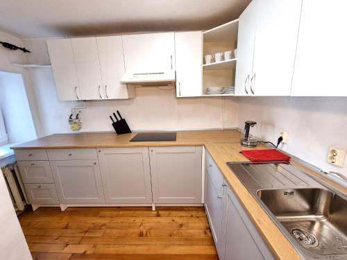Vagnera Old Town Two Bedroom Apartment - image 4