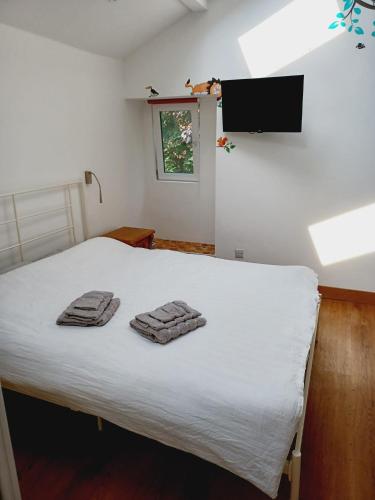 Voyage Hostel - Ensuite Family Rooms with shared kitchen