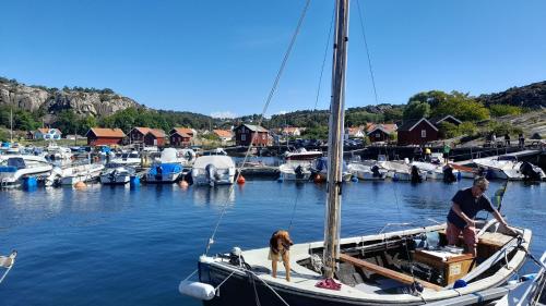 Bentevägen (Bentevagen) in Tångarna