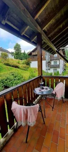 2 Zimmer Mitterdorf in Philippsreut, Deutschland