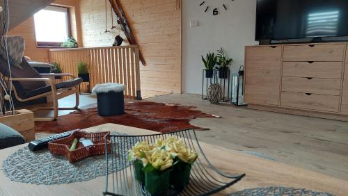 APARTMáN POD SMRČINOU (APARTMaN POD SMRCINOU) in Václavov u Bruntálu