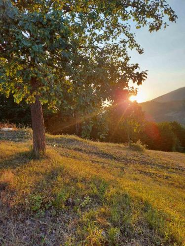 The Village House Zlatar - image 9