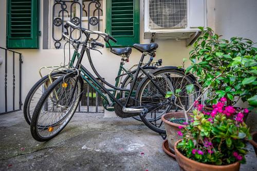 A Casa di Lilli, Florencie (fotografie 10)