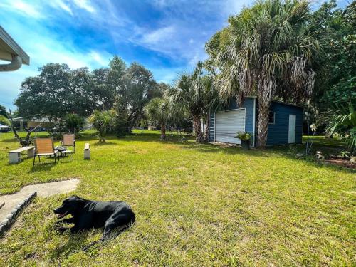 House of Shells, beautiful garden, fenced yard, dog friendly, fire pit! in คริสตัลริเวอร์ (FL)