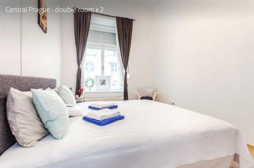 Kent Ridge Loft, Praha (fotografie 9)