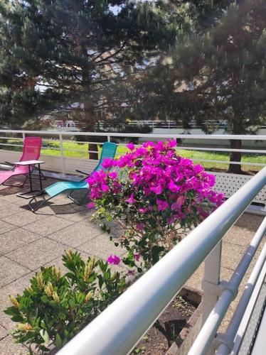 Comme chez vous, Strasbourg (photo 10)