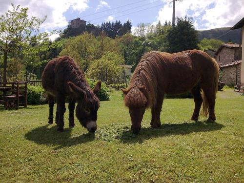 Agriturismo Polla