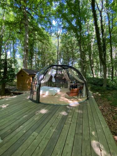 Le Dôme de Namur - Une nuit insolite dans les bois