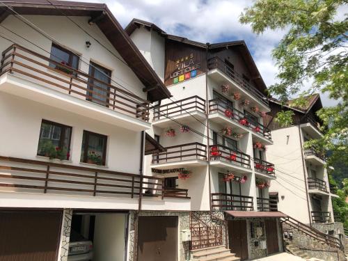 Vila LOFT CUBE - Accommodation - Sinaia