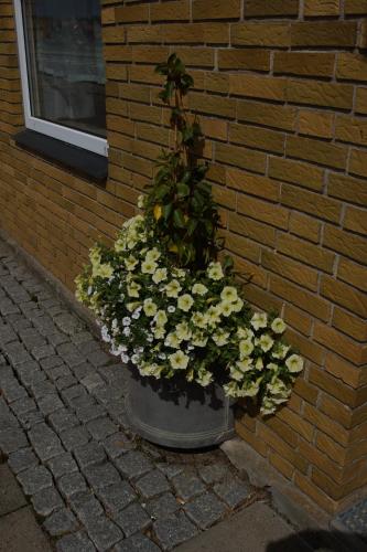 Egtved Hotel - image 4