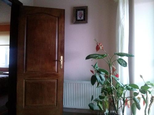 Hotel Kiev-S