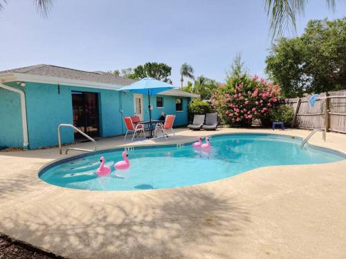 Hibiscus Haven Pool Home in Oldsmar (FL)