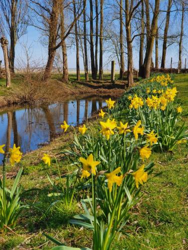 De Heeren Hoeve - main image