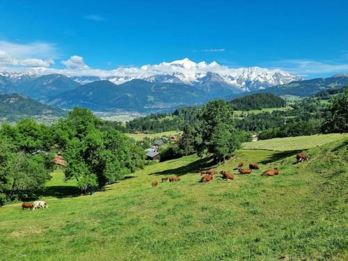 A Cordon entre Bois et Nature - Apartment - Cordon