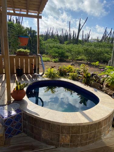 Cozy studio with private spa in Oranjestad