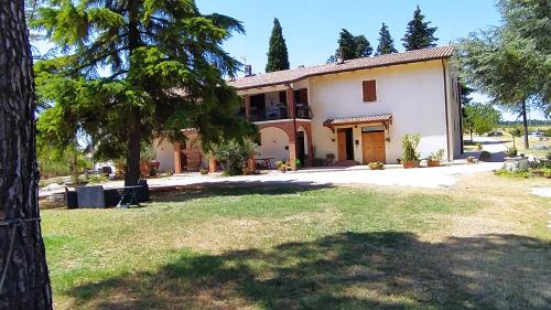 Casale in collina vista Assisi,Brufa di Torgiano - Apartment - Brufa