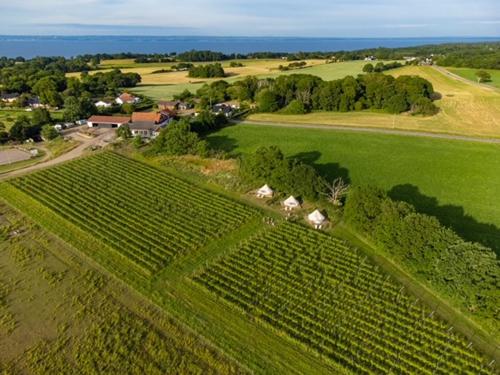 Coasters Hideaway boutique Glamping in Arild