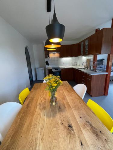 Apartmány U Medvěda - Apartment - Horní Blatná