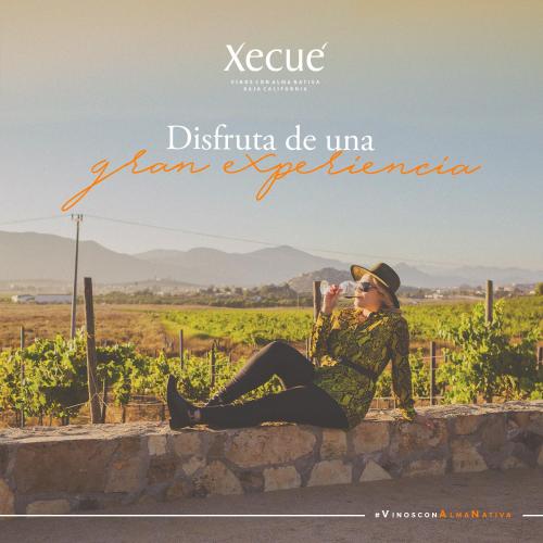 Vinos Xecué