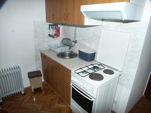 Apartment Maslinica 774b - image 3