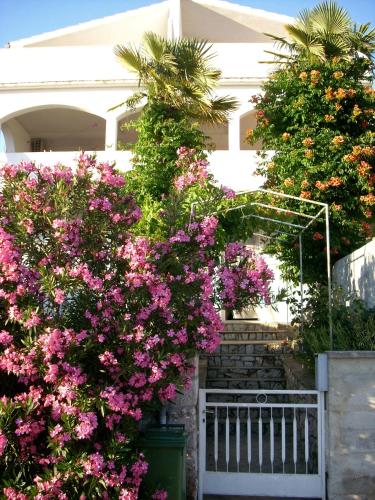  Apartments by the sea Tisno, Murter - 814 in Tisno
