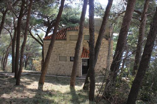  Apartments by the sea Marusici, Omis - 957 in Mimice