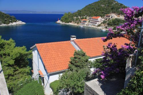  Apartments and rooms by the sea Zaklopatica, Lastovo - 994 in Lastovo