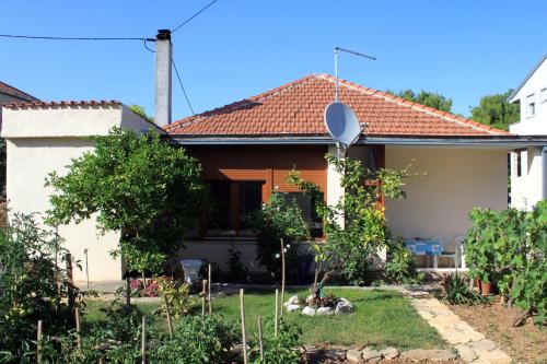  Apartments by the sea Tkon, Pasman - 822 in Tkon
