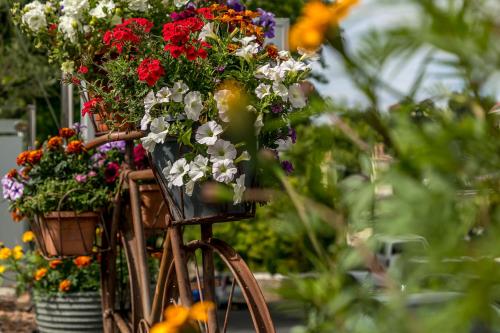 金屋旅馆 金屋旅馆