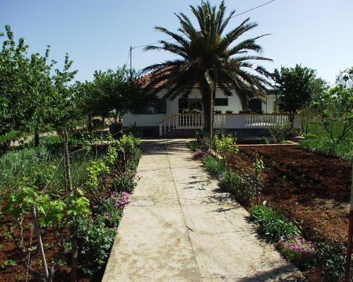  Seaside holiday house Pasman - 690 in Pašman