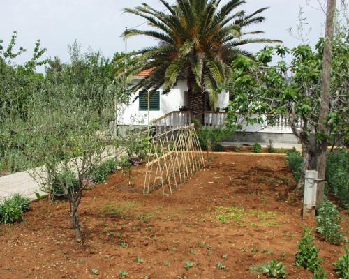  Seaside holiday house Pasman - 690 in Pašman