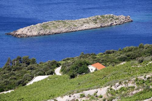  Holiday house with a parking space Dingac - Pristranj, Peljesac - 660, Pension in Trstenik