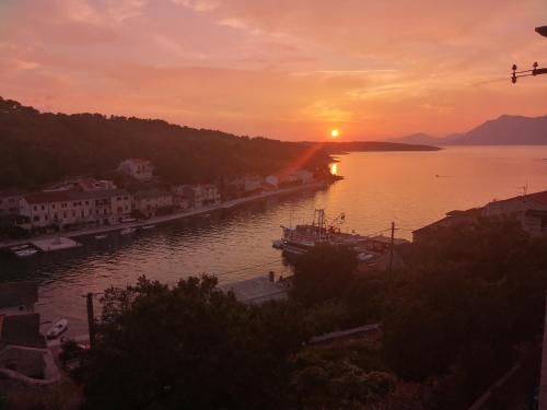 Apartments by the sea Povlja Brac - 708 - image 4