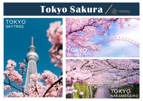 ネステイヴィラ 東京新宿