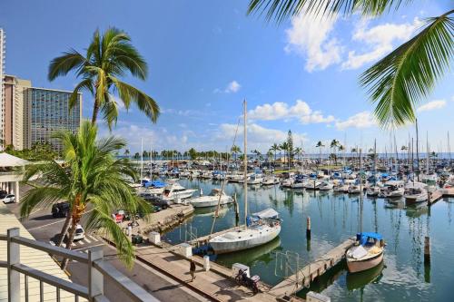 Ilikai Marina #386 - image 10