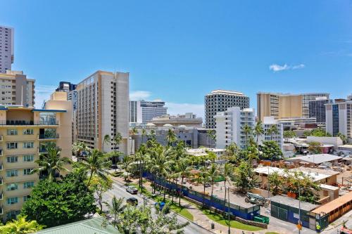 Four Paddle #702 - image 2