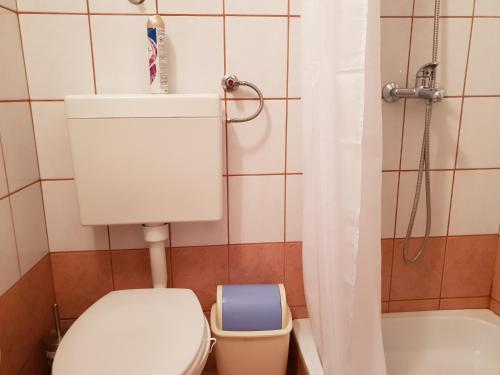 One-Bedroom Apartment with Balcony image 6
