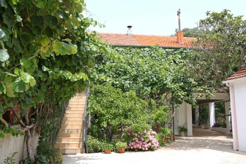 Apartments with a parking space Bibinje, Zadar - 18843 - Location saisonnière - Bibinje