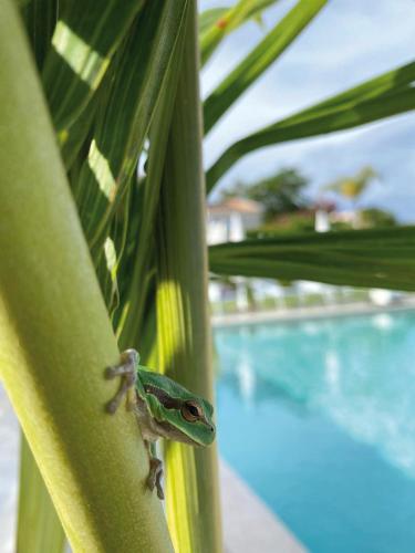Il Borghetto Resort & Spa - image 4