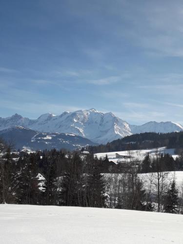 A Cordon entre Bois et Nature