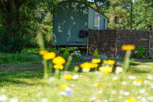 The Laburnum Retreat Shepherd Hut private hot Tub