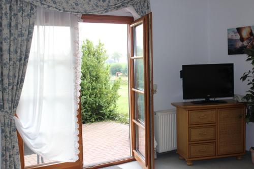 Large One-Bedroom Apartment image 10
