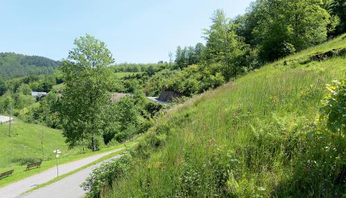 Hotel - Gasthof Blume 2.5km von Oppenau entfernt