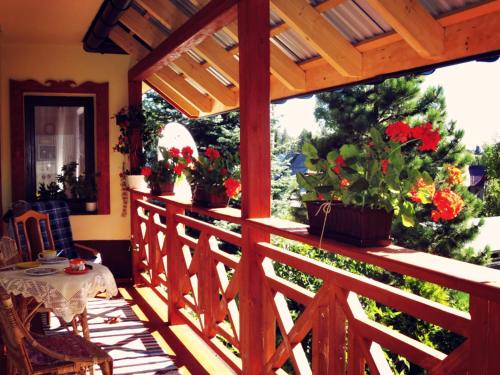 Willa Anna in Koscielisko