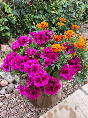 金屋旅馆 金屋旅馆