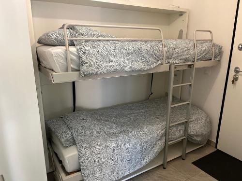 Châtel - Appartement 4-6 personnes - Les Châlets des Freinets C203, Châtel (photo 8)