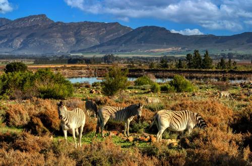 Welbedacht Game & Nature Reserve Tulbagh