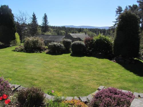 RossMor Bed & Breakfast - image 11